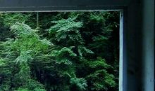 我仍然懂你_1200字