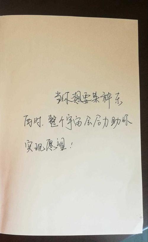 坚持梦想 - 阅读“牧羊人少年幻想之旅”_200字