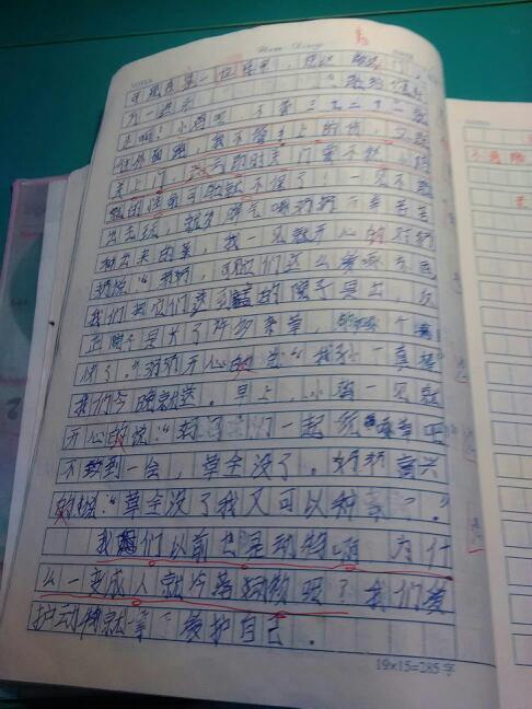 真假（1）_350字