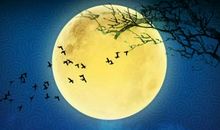 [中秋节小记]最美的中秋夜_1000字