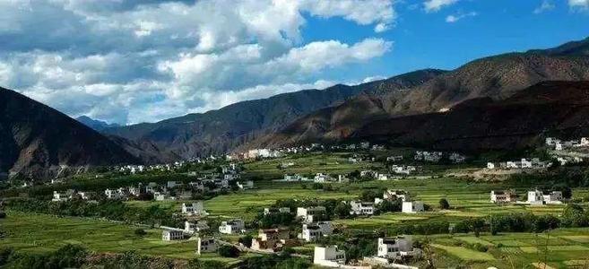 唐家湾无形文化遗产 - 茶果和钓鱼寿命_650字