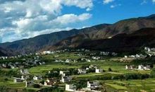 唐家湾非物质文化遗产 ——茶果与捕鱼生活_650字