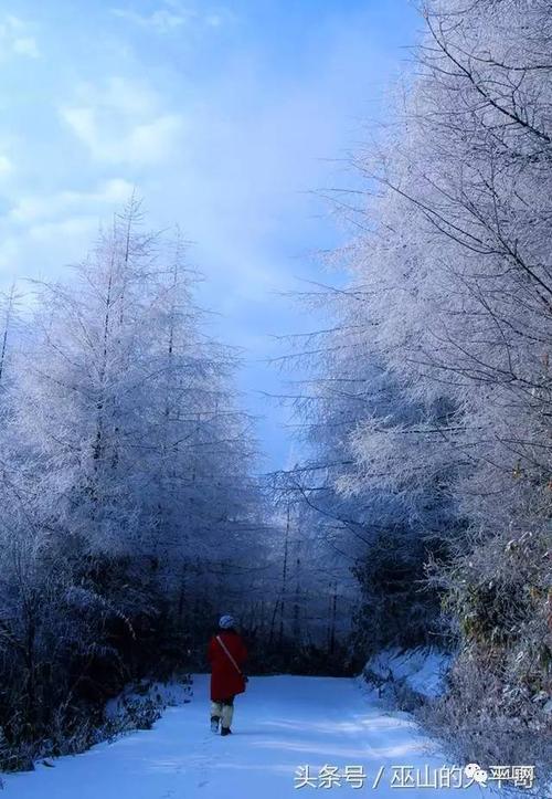 [日常天气] 2017年第一雪_700字