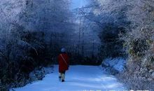 [每日天气] 2017年的第一场雪_700字