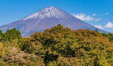 秋天的颜色_350字