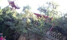 莫忘一世红妆（一）_100字