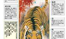 校运会的猛虎_600字