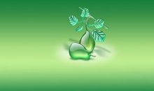 [每日天气] 南方的雪是绿色的_900字