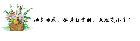 鲜花在角落里，成功的花朵_750字