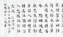 苏幕遮?静夜情_100字