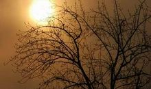 苏幕遮?落日幽谷_100字