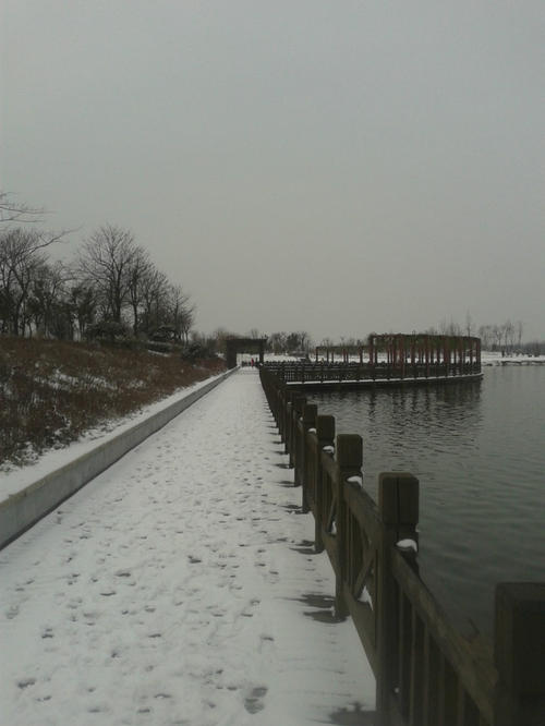 [原始达人]雪_550字