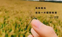 [中秋节小记]_750字