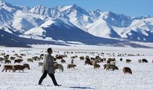 [每日天气]在雪地上，踏出人生别样的印记_1200字