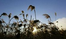 [每日天气] 冬日絮语_1000字