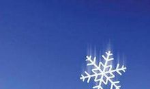 [每日天气]漫步雪景看花开_1200字