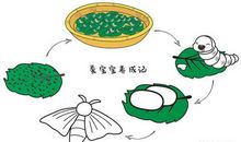 [每日天气] 梦里落雨几回_1200字