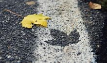 落叶再凄凉_750字