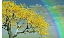 [原创达人] 人生有多少个过客_600字