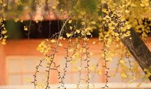 [原创达人] 打开心灵的窗户_650字