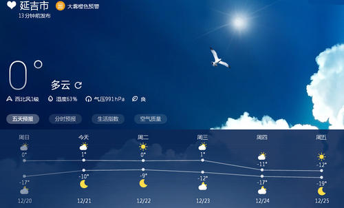 [日常天气]雪心_1200字