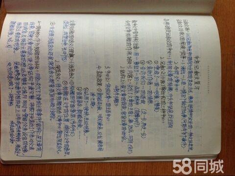 青年论文（十四）_200字