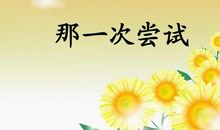 那是一次失败的尝试_700字