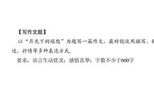 月光下的遐想_1500字