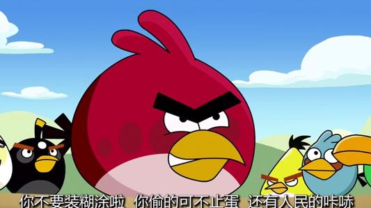 猪鸟跑_500字