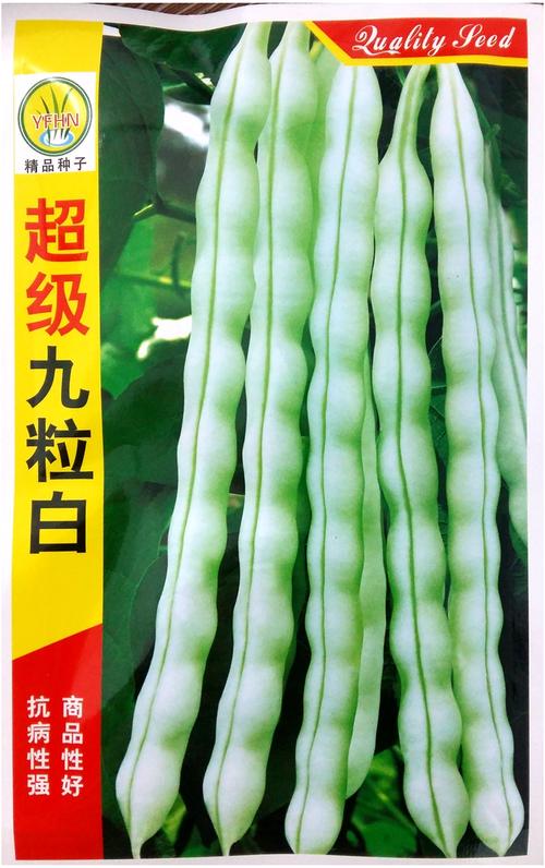 秋天的白色，让我握住你的手_900字