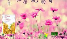 风会记得一朵花的香_150字