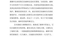 《湘行散记》之《云南看云》读后感_550字