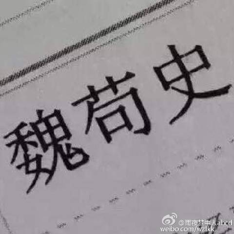 人类_800字