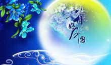 【中秋节小记】难忘的中秋佳节_1200字