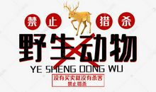 保护野生动物_650字