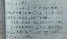 我的愿望（小练笔）_350字