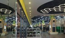 特别的日子_250字