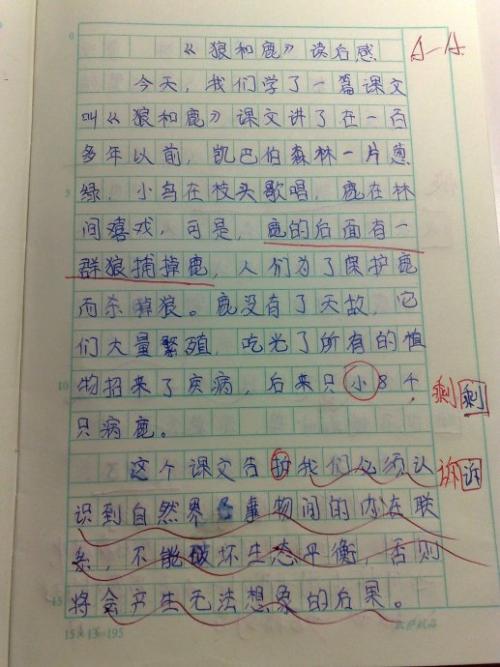 阅读_650字后