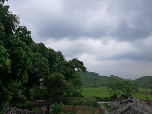 旅游站（订单）_150字