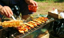 [原创达人] 野炊_400字