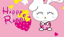 可爱的小兔子_400字