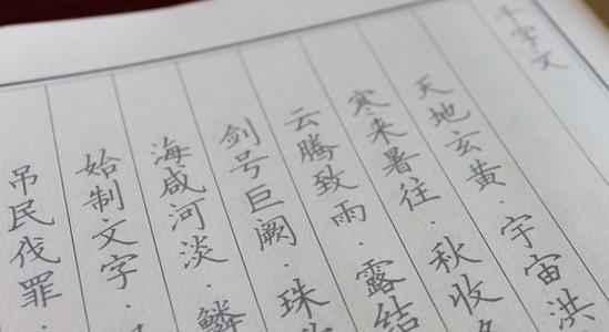 解决学生的解决方案_1000字