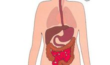 [原创达人] 风一般的男子_750字