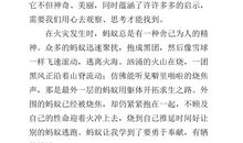 [原创达人] 自然的魅力_600字