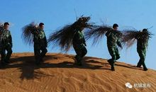 [原创达人] 守望梦想_750字