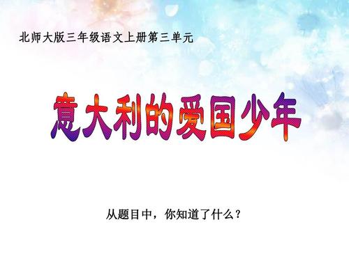 继续写“意大利爱国男孩”_250字