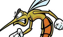 喝酒醉的蚊子_350字