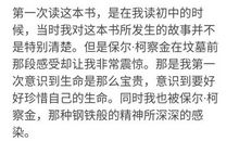 钢铁是怎样炼成的读后感_450字