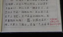 我最喜欢的一本书_650字