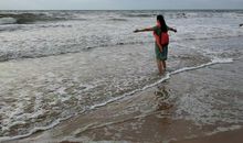 美丽的金沙滩_350字